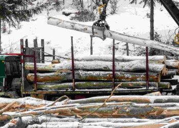 Stranke sijeku, građani plaćaju – 88% direktora šumskih preduzeća povezano sa politikom