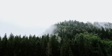 „Šume“ ne poštuju sopstveni Statut