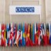 OSCE o nacrtu novog Ustava RS: Direktno kršenje ustavnog poretka Bosne i Hercegovine