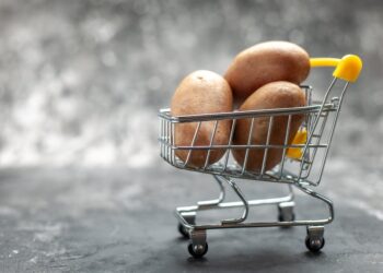 Rastu troškovi života: Sindikalna potrošačka korpa za februar iznosi 3.157,40 KM