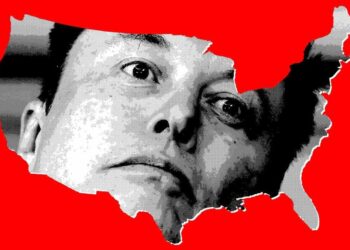 Sjedinjene Države Elona Muska