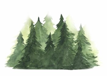 „Šume“ u prvom tromjesečju podigle kredit i povećale zalihe