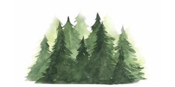 „Šume“ u prvom tromjesečju podigle kredit i povećale zalihe