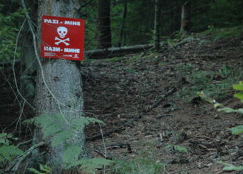 Međunarodni dan borbe protiv mina: BiH i dalje suočena s ozbiljnim izazovima