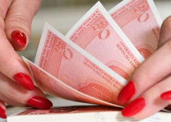 Uzimali “šakom i kapom”: Kako su direktorica i radnik nezakoniti trošili novac “Goethe Instituta”?