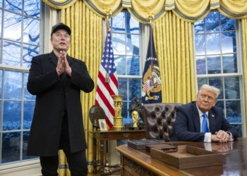 Musk tražio od Trumpa da ukine carine