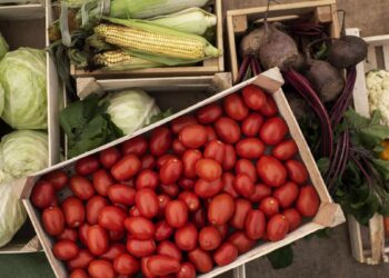 Video: Jesu li nam voće i povrće postali luksuz? 