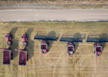BiH gubi svoje selo: Poljoprivreda na ivici nestanka