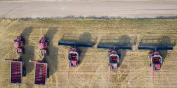 BiH gubi svoje selo: Poljoprivreda na ivici nestanka