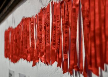 Slučaj Alme Kadić pred Ustavnim sudom: Traži se odgovornost države zbog femicida