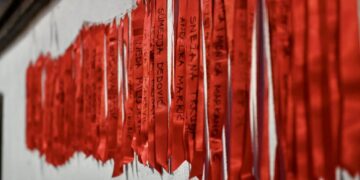 Slučaj Alme Kadić pred Ustavnim sudom: Traži se odgovornost države zbog femicida