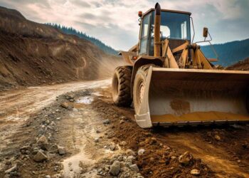 Koncesionari love u mutnom uz prećutnu podršku države