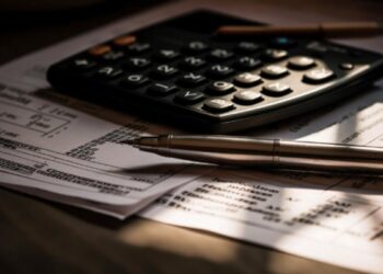 Počinje primjena novih pravila u oblasti PDV-a