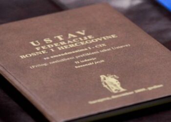 Kad Ustav zanemari ljudska prava: Zašto u BiH nije zagarantovano pravo na pitku vodu, internet i zdravstvenu zaštitu?