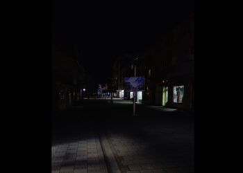 Grad u BiH potpunom mraku: Načelnik ne da pare za rasvjetu, na ulicama samo psi lutalice!