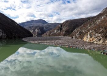 Plutajući otpad zagadio Drinu