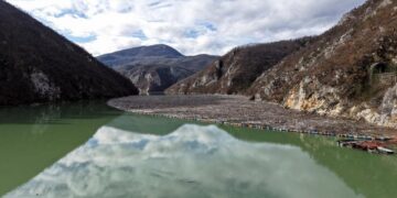 Plutajući otpad zagadio Drinu