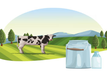 Mliječni sektor na koljenima: Vlast odbija raspravu, farmeri bez izlaza