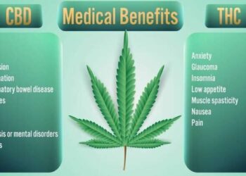 Zakon odobren, sistem na čekanju.