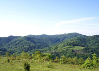 Između zelene tranzicije i zelene prirode: Dilema bosanskog litija.