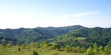 Između zelene tranzicije i zelene prirode: Dilema bosanskog litija.