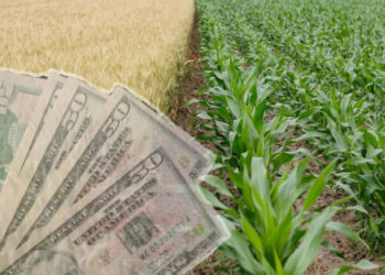 Upozorenje stručnjaka: Nestašica đubriva može izazvati nove probleme