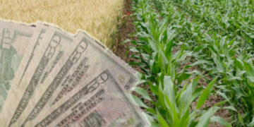 Upozorenje stručnjaka: Nestašica đubriva može izazvati nove probleme