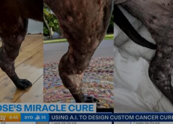 Nevjerovatna priča: IT stručnjak sam napravio vakcinu protiv raka za svog psa! (VIDEO)