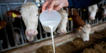 Mljekari TK u čekanju na sistemsko rješenje