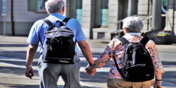 Detaljan vodič Fonda PIO RS-a