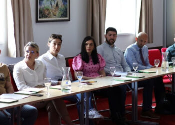 CZZS: Procjena uticaja vjetroelektrana – najčešće greške, posljedice i preporuke