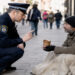 Prosjačenje u Banjaluci: Policija upozorava građane da ne daju novac