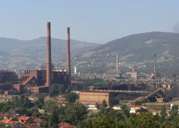 Pavgord: Formula za preporod ili poslovni obrazac?
