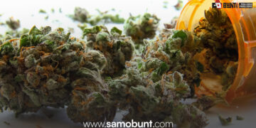 Legalizacija medicinskog kanabisa u BiH