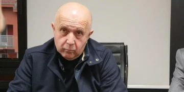 Kako je poslovna imperija Gordana Pavlovića stigla do Željezare, Ljubije i Alumine