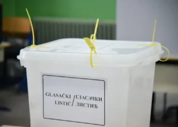 Danas ističe rok za prijavu glasanja iz dijaspore